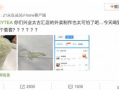 喜茶最新爆料新闻视频,独家爆料视频曝光最新饮品与门店设计
